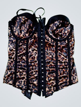 Forever 21 Leopard Print Corset Top
