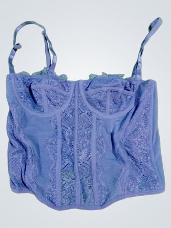 Blue Lace Corset