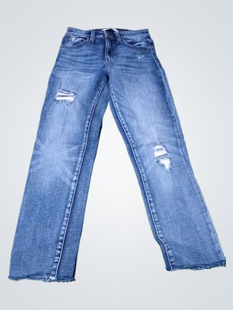 Willow + Root Distressed Blue Denim Jeans