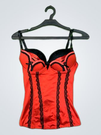 Red Satin Bustier Top