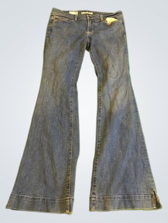 J Brand Flare Jeans