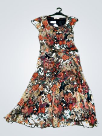Afibel Floral Print Dress