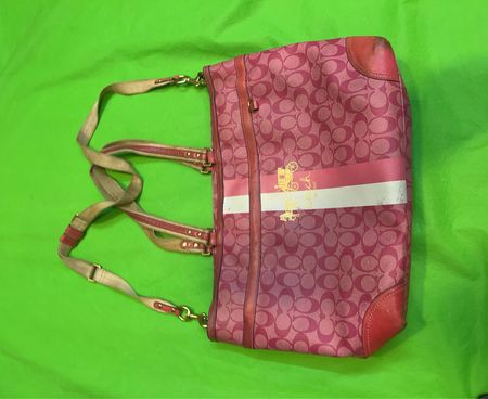 Coach Signature Tote Bag