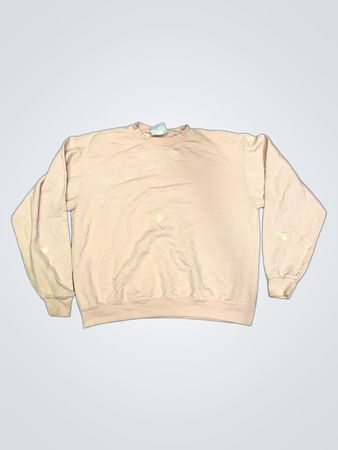 Champion Authentic Athleticwear Crewneck Sweatshirt