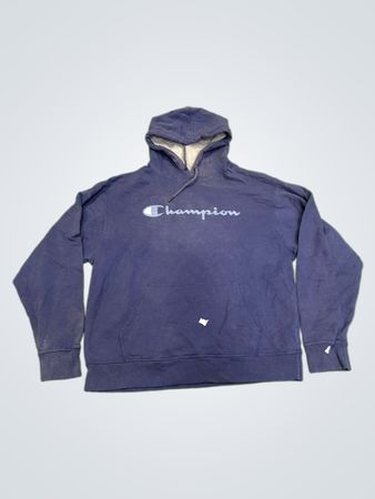 Champion Authentic Athleticwear Hoodie