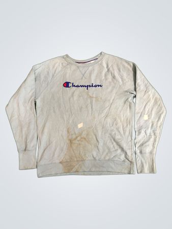 Champion Authentic Athleticwear Sweatshirt