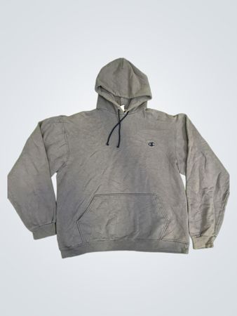 Champion Authentic Athletic Apparel Hoodie