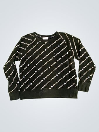 Champion Authentic Athleticwear Sweatshirt