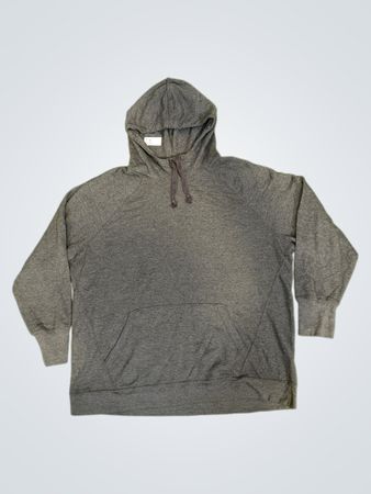 Champion Authentic Athleticwear Hoodie