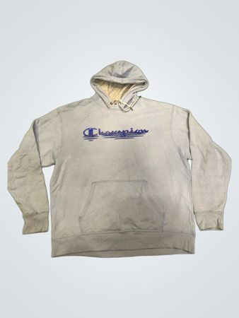Champion Authentic Athleticwear Hoodie