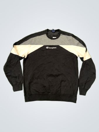 Champion Colorblock Crewneck Sweatshirt