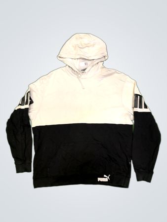 Puma Colorblock Hoodie