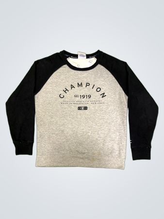 Champion Authentic Athletic Apparel Sweatshirt