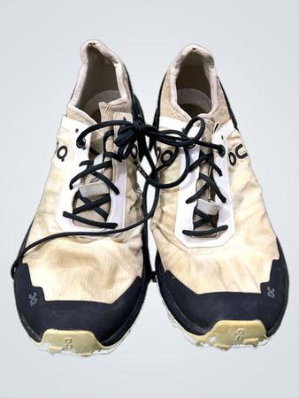 On Running Swiss Engineering Running Shoes