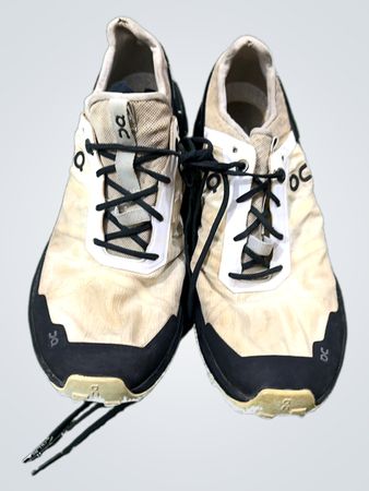 On Running Swiss Engineering Running Shoes