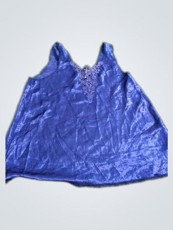 CRINOLINES Blue Lace Trim Nightgown