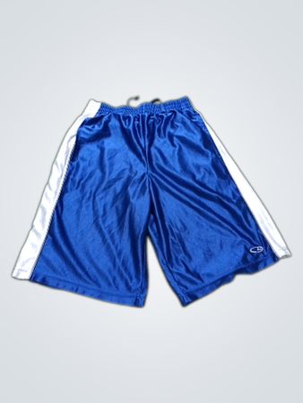 Champion Blue Athletic Shorts