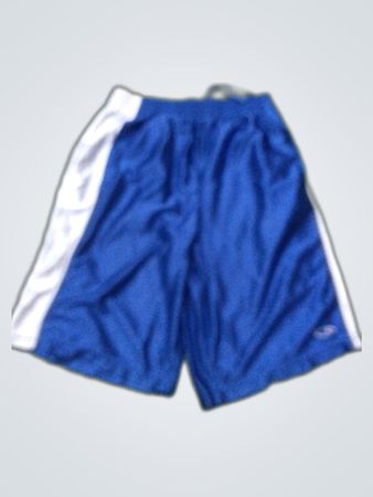 Champion Blue Athletic Shorts with White Side Panels