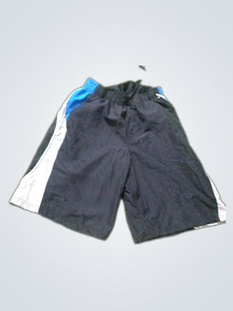 Champion Men's Shorts