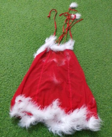 Rotes Weihnachtskostüm mit weißem Pelzbesatz