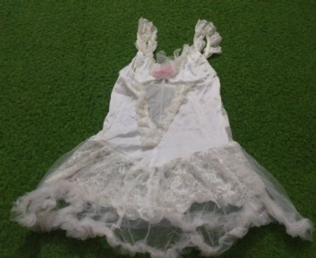 White Lace Slip