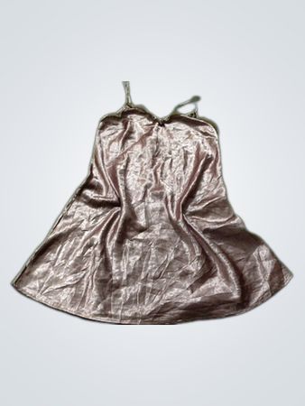 Secret Possessions Nightgown