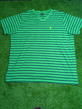 U.S. Polo Assn. Herren T-Shirt mit V-Ausschnitt in Grün und Navy gestreift