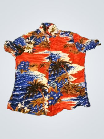 H&M Hawaiian Shirt