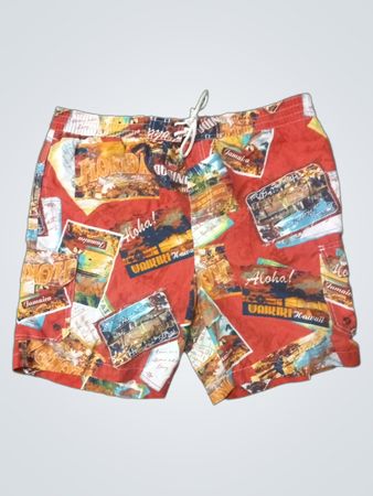 Mens Hawaiian Print Swim Shorts