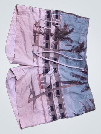 Burton Menswear London Swim Shorts