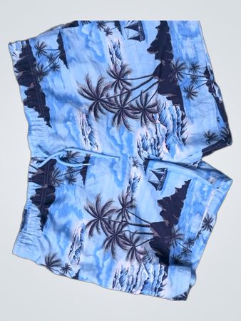 Blue Tropical Print Swim Shorts