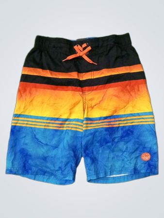 Men's Swim Shorts