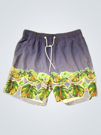 Quiksilver Swim Shorts