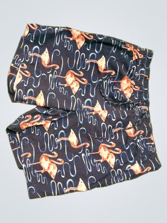 Flamingo Print Swim Shorts
