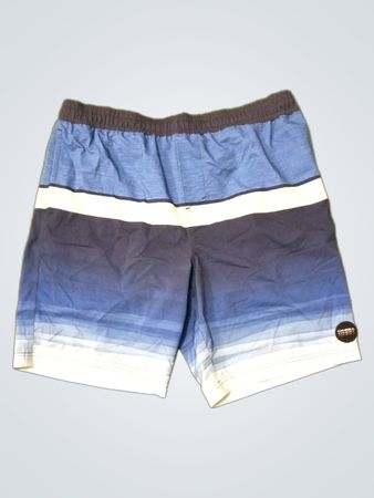 Quiksilver Swim Shorts