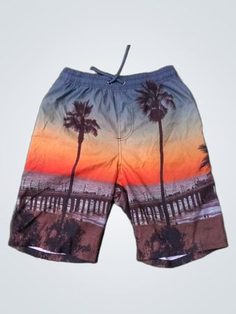 Quiksilver Board Shorts