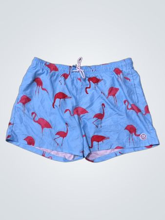 Flamingo Swim Shorts
