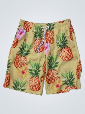 Pineapple Print Swim Shorts