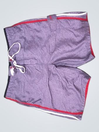 Speedo Gray Striped Swim Shorts