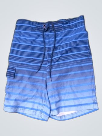 George Blue Striped Swim Shorts