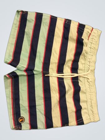 Men's Striped Swim Shorts