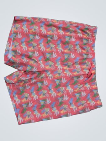 Burlebo XXL Swim Shorts