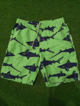 Green Shark Swim Shorts