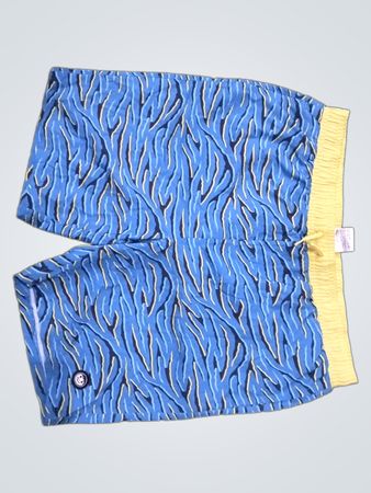 Neff Blue Surf Shorts