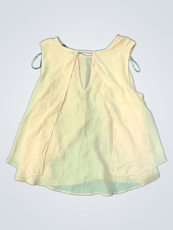 Zara Basic Sleeveless Chiffon Top
