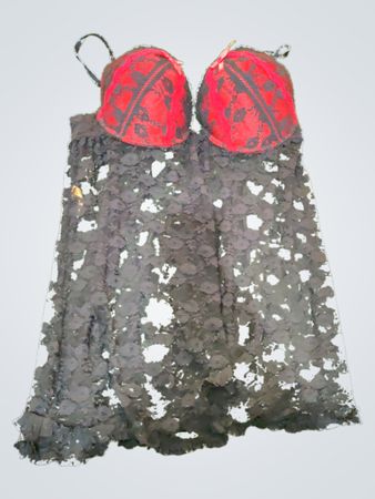 Black Lace Dress with Red Lining