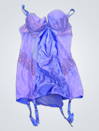 Ann Summers Blue Corset