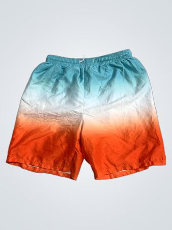 Gradient Swim Shorts
