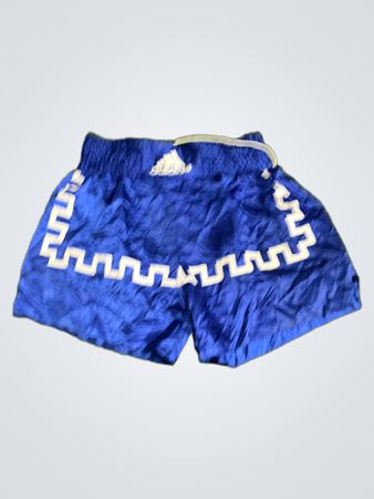 Adidas Muay Thai Shorts