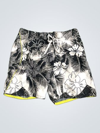Quiksilver Swim Shorts
